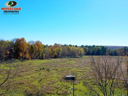 31+/- Acres, Cambridge Springs - Tattle Street