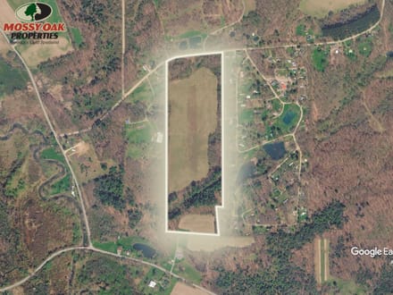 31+/- Acres, Cambridge Springs - Tattle Street