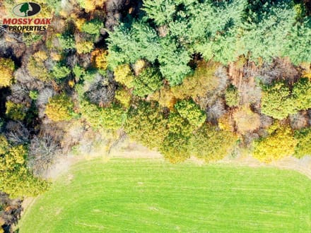 31+/- Acres, Cambridge Springs - Tattle Street