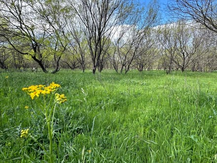 Land in Lampasas County - Bend, TX 5.5 +- Acres