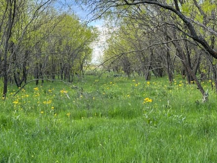 Land in Lampasas County - Bend, TX 5.5 +- Acres