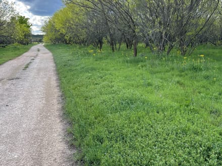 Land in Lampasas County - Bend, TX 5.5 +- Acres