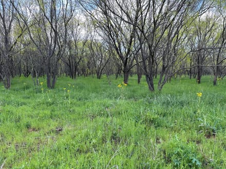 Land in Lampasas County - Bend, TX 5.5 +- Acres