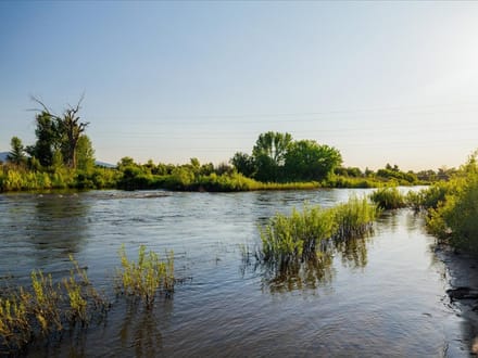 100 Acres of Working Ranch and Waterfront Living