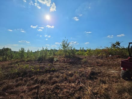 8.29 Acres on Victory Road – Tract 9