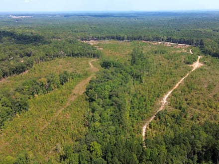 8.29 Acres on Victory Road – Tract 9