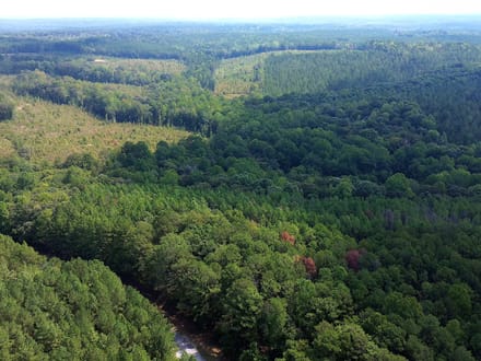 12.89 Acres on Butler Road – Tract 2