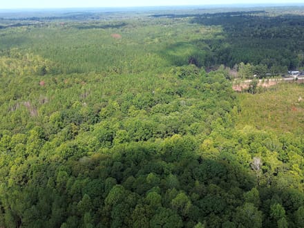 12.89 Acres on Butler Road – Tract 2