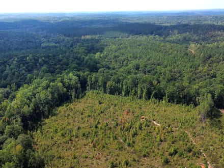 12.89 Acres on Butler Road – Tract 2