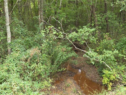 12.89 Acres on Butler Road – Tract 2