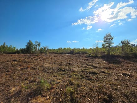 8.66 Acres on Victory Road – Tract 7