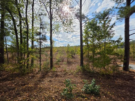 8.66 Acres on Victory Road – Tract 7