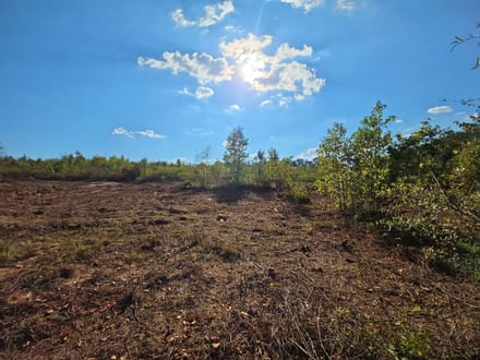 8.66 Acres on Victory Road – Tract 7