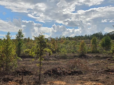 8.66 Acres on Victory Road – Tract 7