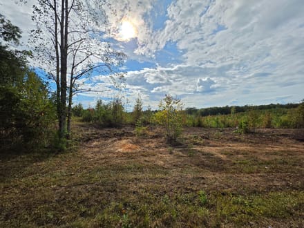 10.42 Acres on Victory Road – Tract 11