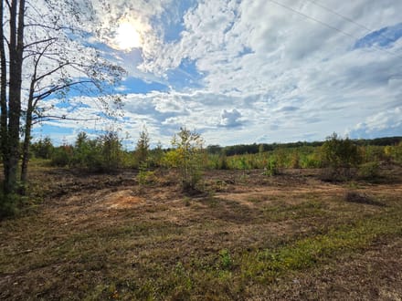 10.42 Acres on Victory Road – Tract 11
