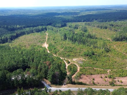 10.42 Acres on Victory Road – Tract 11
