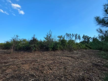 8.80 Acres on Butler Road – Tract 4