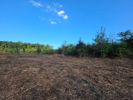 8.80 Acres on Butler Road – Tract 4