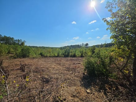 7.07 Acres on Victory Road – Tract 10