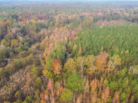 Clay County / Maben 58
