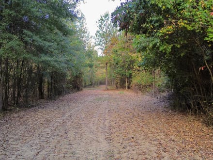 Clay County / Maben 58