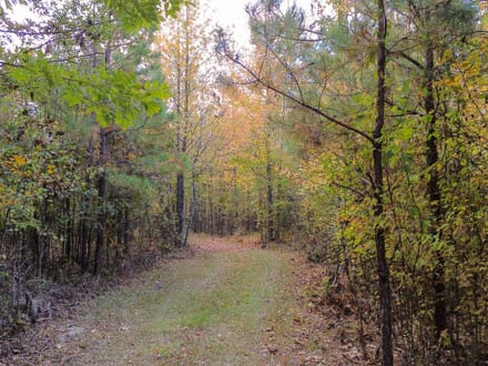 Clay County / Maben 58