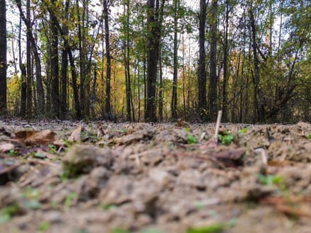 Clay County / Maben 58