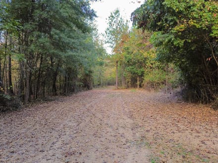 Clay County / Maben 58