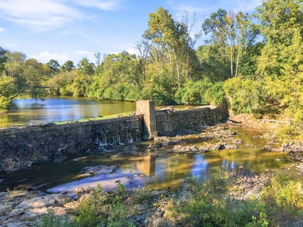 15.5 Acres | Lot 10 Capelsie Road