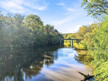 15.5 Acres | Lot 10 Capelsie Road