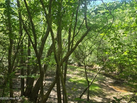 234 Circle Drive