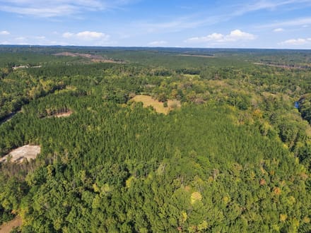 13.43 Acres | Lot 6 Capelsie Road