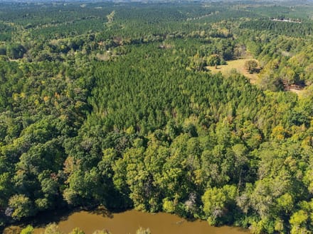13.43 Acres | Lot 6 Capelsie Road