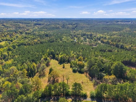 13.43 Acres | Lot 6 Capelsie Road