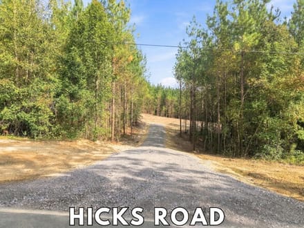 13.43 Acres | Lot 6 Capelsie Road
