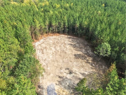13.43 Acres | Lot 6 Capelsie Road