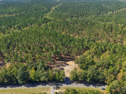 12.94 Acres | Lot 3 Capelsie Road