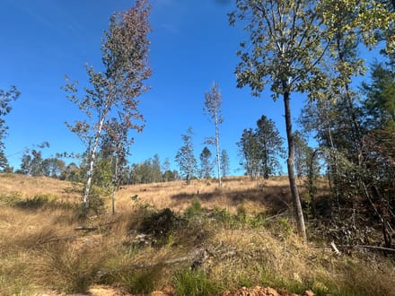 Tallawampa Creek Tract