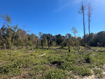 Tallawampa Creek Tract