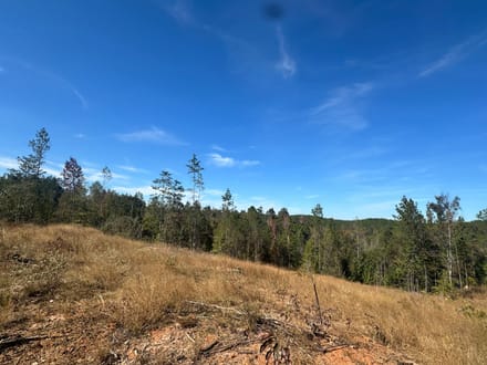 Tallawampa Creek Tract