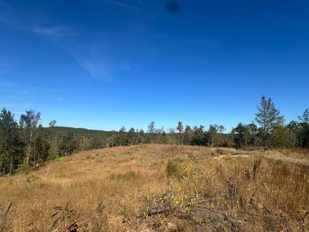 Tallawampa Creek Tract