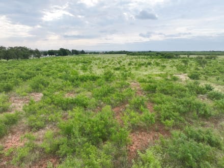 153 Badger Den (Lot 21)