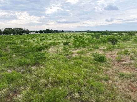 170 Badger Den, Tuscola (Lot 17)
