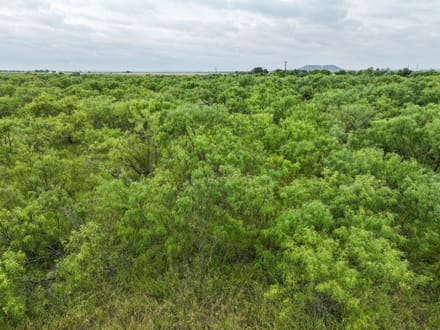 188 Badger Den, Tuscola (Lot 18)
