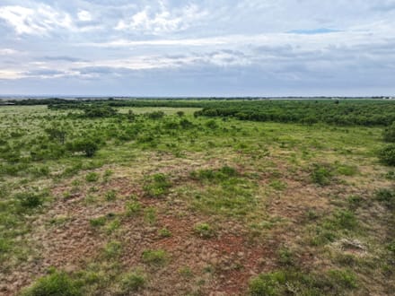 161 Porcupine Trail, Tuscola (Lot 10)