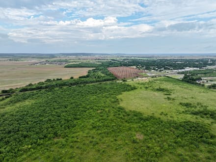 170 Badger Den, Tuscola (Lot 17)