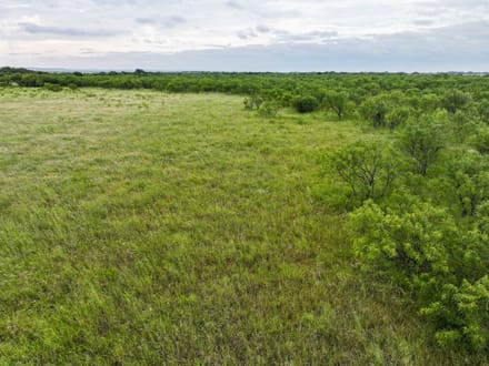 170 Badger Den, Tuscola (Lot 17)