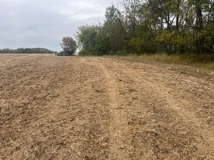 Brown County, Illinois 60 Acres of Land for Sale 