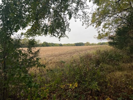 Brown County, Illinois 60 Acres of Land for Sale 